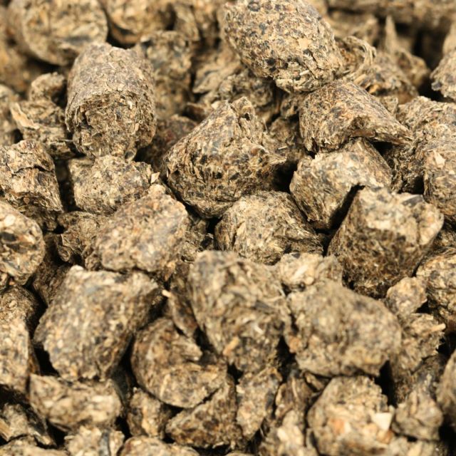 ¿Cómo puedes aumentar la producción de leche en vacas lecheras? Prueba con los Pellets de Girasol

Además de potenciar la producción de leche, también es una fuente de nutrientes, rico en proteínas, vitaminas y grasas saludables.

👉 Alto contenido proteico, para un buen crecimiento y desarrollo.
👉 Ácidos grasos para mejorar la salud y reducir el riesgo de colesterol.
👉 Fuente de fibra para una digestión saludable.

Disponible para el envío en toda la Península

➡ WhatsApp 629 18 11 33
➡ Teléfono 932 296 909
➡ Poballe.com

#campo #ganadobovino #ganaderiasostenible #granja #cerdos #agro #ganadolechero #gado #nutricionanimal #ganadodecarne #vacas #finca #porcicultura #agropecuaria #agricultura #animales #caballos #agronegocios #soyganadero #produccionanimal